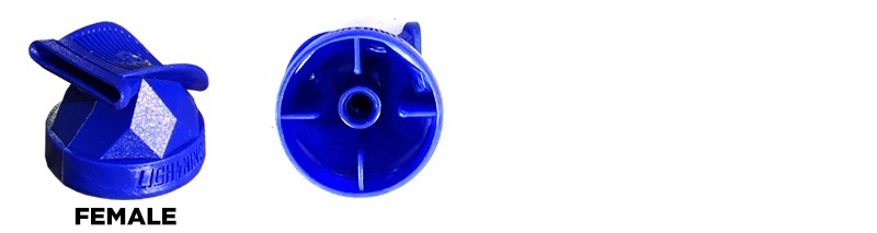 Night Quill Lightning Female